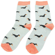 miss-sparrow-london-3-pack-little-sausage-dogs-sock-box---bluegreenyellow-34596365
