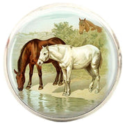 Bassin and Brown Horses Cufflinks - Brown/White