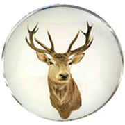 Bassin and Brown Stags Head Cufflinks - Brown/White