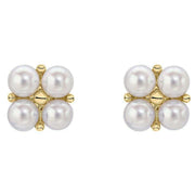 elements-gold-floral-freshwater-pearl-9ct-gold-earrings---goldwhite-35461170