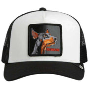 goorin-bros-beware-trucker-hat---dust-whitevoid-black-35922007