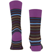 falke-tinted-stripe-socks---rioja-purple-34431580