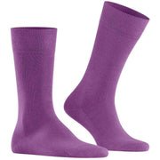 falke-family-socks---phlox-purple-34431301
