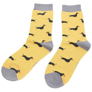miss-sparrow-london-3-pack-little-sausage-dogs-sock-box---bluegreenyellow-34596364