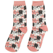 miss-sparrow-london-3-pack-happy-cats-sock-box---pinkblue-34596376