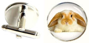 Bassin and Brown Rabbit Cufflinks - Beige/White