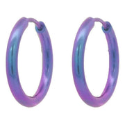 ti2-titanium-medium-round-hinged-hoop-earrings---purple-34528678