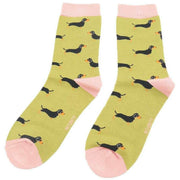miss-sparrow-london-3-pack-little-sausage-dogs-sock-box---bluegreenyellow-34596366