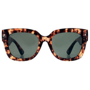 French Connection Chunky D-Frame Sunglasses - Classic Demi Brown