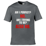 Teemarkable! Am I Perfect T-Shirt Dark Grey / Small - 86-92cm | 34-36"(Chest)