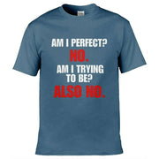 Teemarkable! Am I Perfect T-Shirt Slate Blue / Small - 86-92cm | 34-36"(Chest)