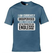 Teemarkable! I am Currently Unsupervised T-Shirt Slate Blue / Small - 86-92cm | 34-36"(Chest)