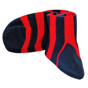 Bassin and Brown Hooped Stripe Socks - Red/Blue
