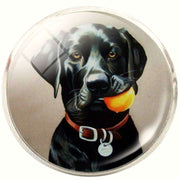 Bassin and Brown Labrador Cufflinks - Black
