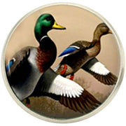 Bassin and Brown Mallard Ducks Lapel Pin - Brown/White