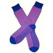 Bassin and Brown Vertical Stripe Midcalf Socks - Royal Blue/Pink