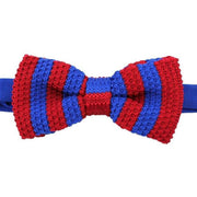 David Van Hagen Striped Knitted Polyester Bow Tie - Royal Blue/Red