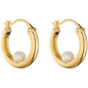 Elements Silver Encased Freshwater Pearl Hoop Earrings - Gold/White