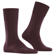 Falke Climawool Socks - Burgundy